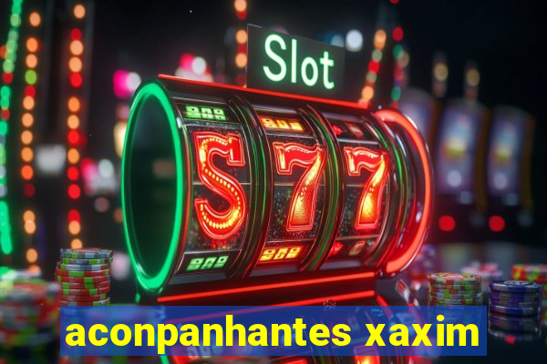 aconpanhantes xaxim